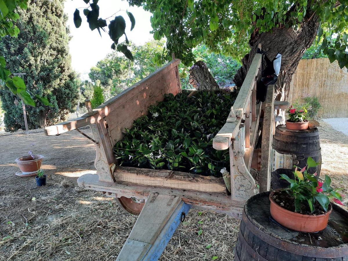 شيتا سانت أنجيلو Tenuta Coppa Zuccari المظهر الخارجي الصورة
